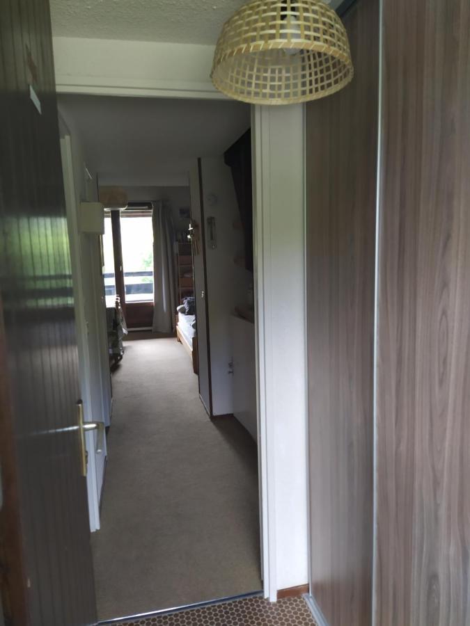 Duplex 3 Pieces. Pieds Des Pistes Et Balcon! Apartment Gresse en Vercors Bagian luar foto