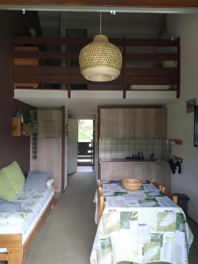 Duplex 3 Pieces. Pieds Des Pistes Et Balcon! Apartment Gresse en Vercors Bagian luar foto